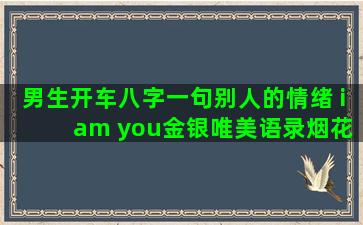 男生开车八字一句别人的情绪 i am you金银唯美语录烟花易冷